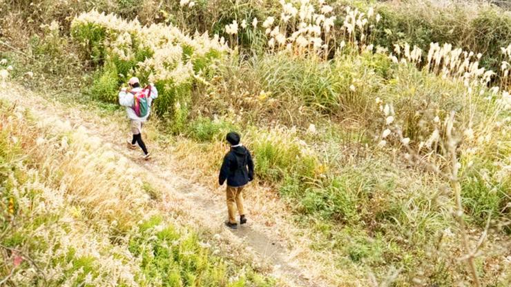 【トレランデビュー】いつもの靴で山と海の鎌倉お散歩トレイル（レクチャー付き）