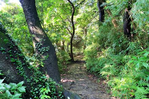 【鎌倉の自然はジムになる】トレイルと自重トレーニングツアー
