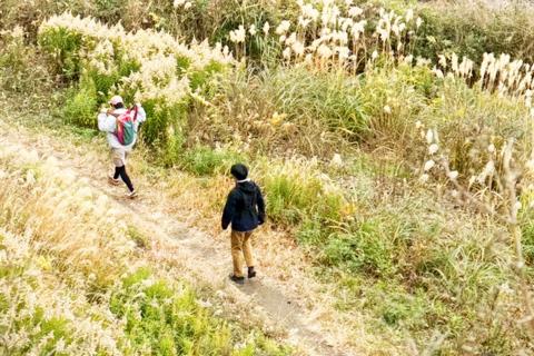 【トレランデビュー】いつもの靴で山と海の鎌倉お散歩トレイル（レクチャー付き）