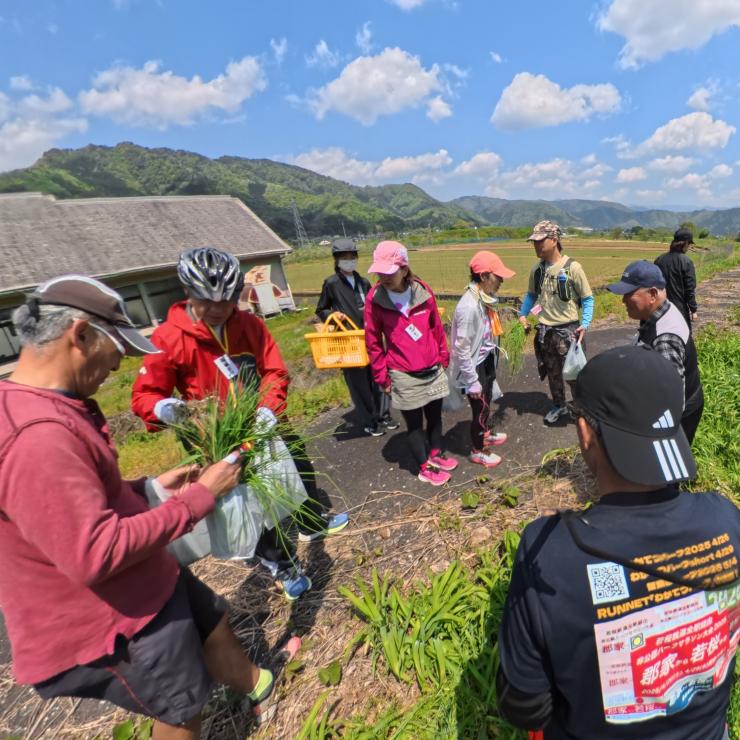 八東フルーツ観光園の中屋さんと山菜採り