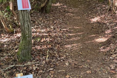 牛松山スカイレース夏
