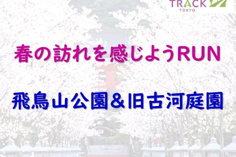 春の訪れを感じようRUN＠飛鳥山公園＆旧古河庭園