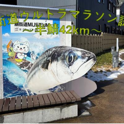 鯖街道ウルトラマラソン試走会「半鯖42km」