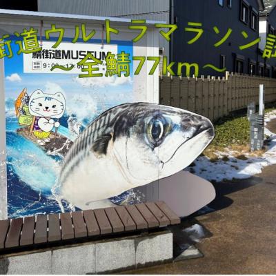 鯖街道ウルトラマラソン試走会「全鯖77km」