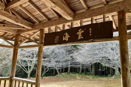 ≪ランde観光≫★日本遺産★焼き物の町と伊賀越えの城!芸術と歴史の旅@信楽(桜)【レベル3】観光ラン