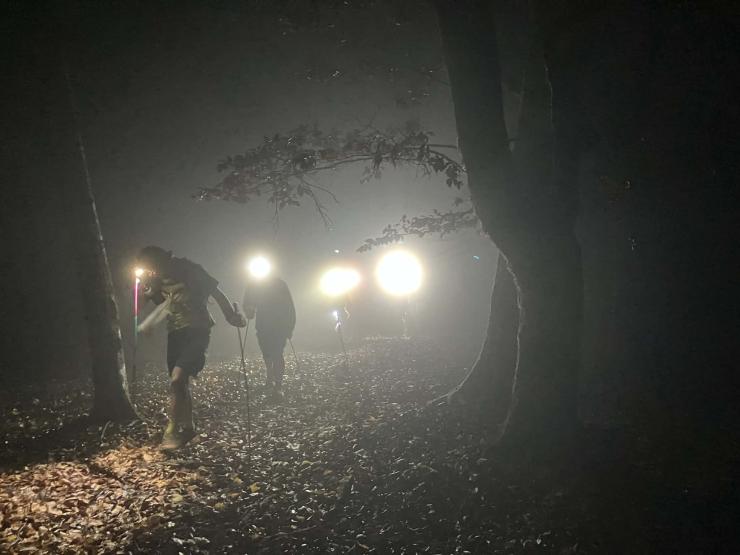 ナイトレースイメージ