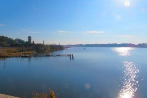 第23回大正浪漫ウオークin手賀沼 ６／１０／１８／３２ｋｍ　全コース：自由歩行