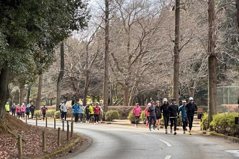 ニッポンランナーズ『佐倉』春新規ご入会メンバー募集