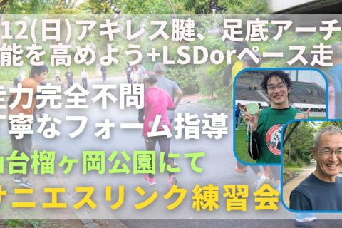 仙台榴ヶ岡公園 アキレス腱、足底アーチの機能を高める+ジョグorペース走 走力完全不問マラソン練習会