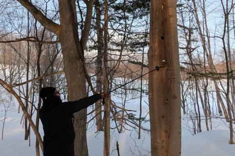 【初心者歓迎】はじめてのスキーハイキング体験 in ニセコ