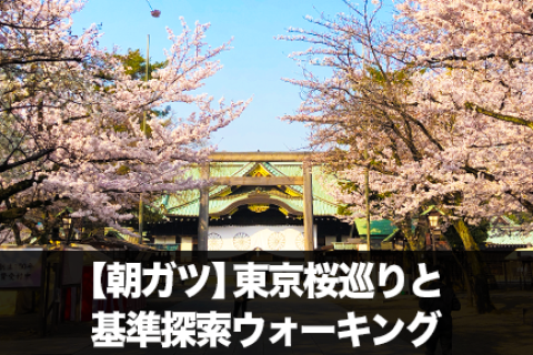 【朝ガツ】東京桜巡りと基準探索ウォーキング｜老舗甘味＋コーヒー付