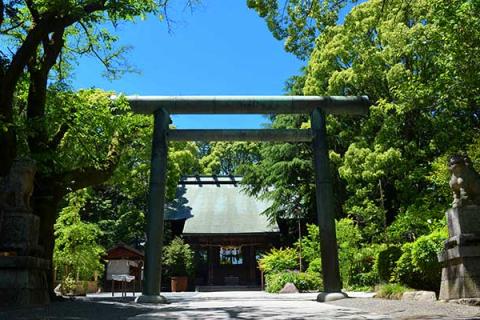 新緑の小田原マラニック