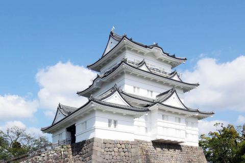 新緑の小田原マラニック