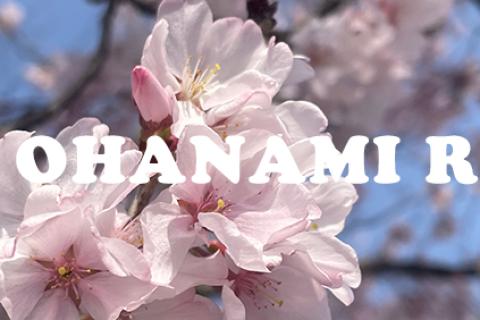 KARHU OHANAMI RUN （お花見ラン）4月5日（日）9時開催