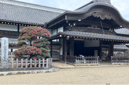 江戸から小江戸_川越ウォーキング