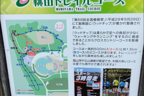 【5月は桃山運動公園トレイルコース】3時間走【マイカップ必須】【ウォーク歓迎】