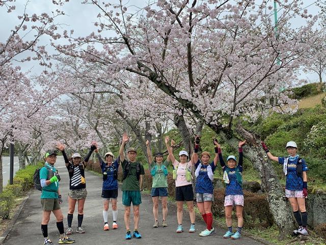 桜鑑賞トレイルツアー(通常イベント)
