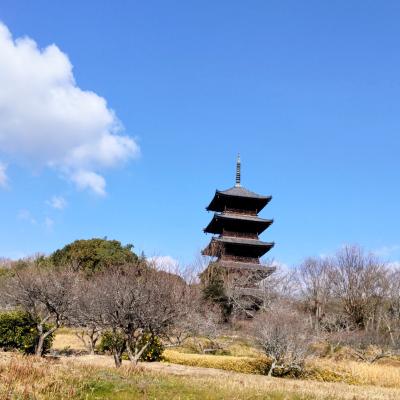 吉備路グループラン！（無料/自分のペースで走ります）