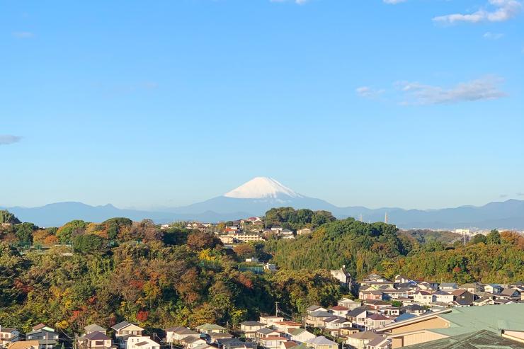 【トレランデビュー】いつもの靴で山と海の鎌倉お散歩トレイル（レクチャー付き）