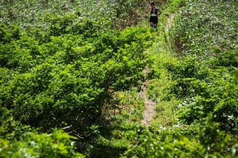 [加賀スパ] KAGASPA TRAIL Endurance100 by UTMB 公式試走会