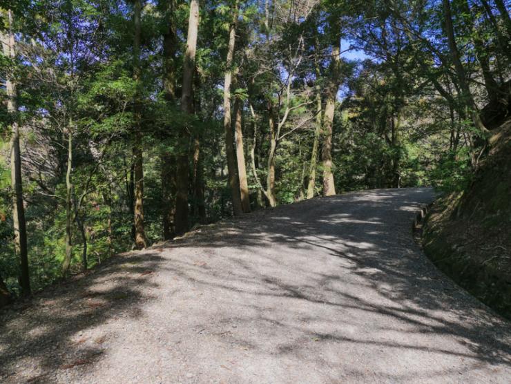 林道コース主体で初心者も走りやすい！