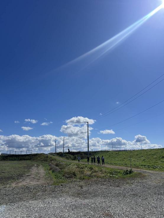 走っている様子