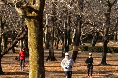 【4月1日】水曜・練習会　ニッポンランナーズ＠柏の葉公園