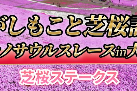 2026年 ひがしもこと芝桜記念 ティラノサウルスレース in 大空町 （芝桜ステークス）