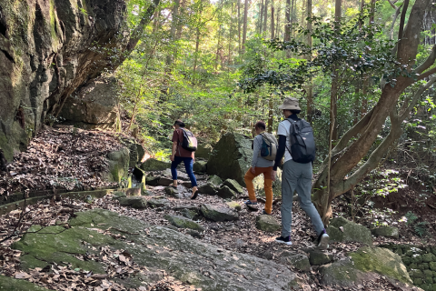 月１回開催！　宝満山で身体にやさしい 歩き方講習＆ランチ