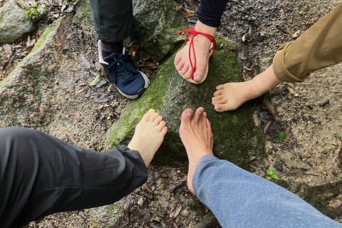 月１回開催！　宝満山で身体にやさしい 歩き方講習＆ランチ