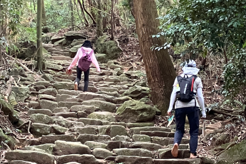 月１回開催！　宝満山で身体にやさしい 歩き方講習＆ランチ