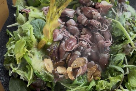 コラボ　10名様限定　平日昼間　ゆかの山メシさん　高尾山ハイキング+山飯ランチ　約7キロ　4000円