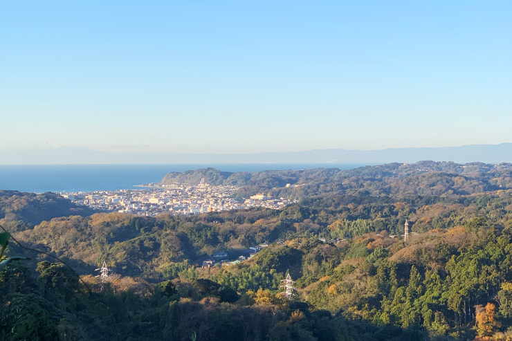 【鎌倉to横浜】水音と深緑の森をつなぐ癒しのワンウェイトレイル