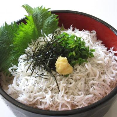 岸和田城としらすラン