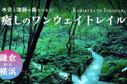 【鎌倉to横浜】水音と深緑の森をつなぐ癒しのワンウェイトレイル