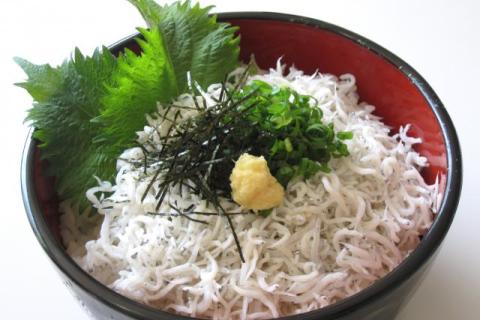 岸和田城としらすラン