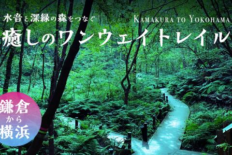 【鎌倉to横浜】水音と深緑の森をつなぐ癒しのワンウェイトレイル
