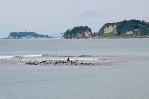 ゆっくりウォーク　大崎公園から逗子池子の森を歩く