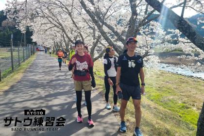 ひこにゃんのふるさと国宝彦根城 さざなみ街道を行く絶景のお花見ラン 50k【サトウ練習会】