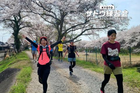 ひこにゃんのふるさと国宝彦根城 さざなみ街道を行く絶景のお花見ラン 50k【サトウ練習会】