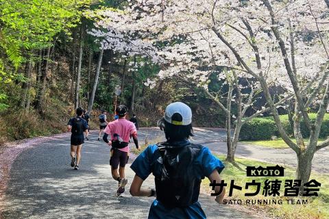 ひこにゃんのふるさと国宝彦根城 さざなみ街道を行く絶景のお花見ラン マラニック50k【サトウ練習会】