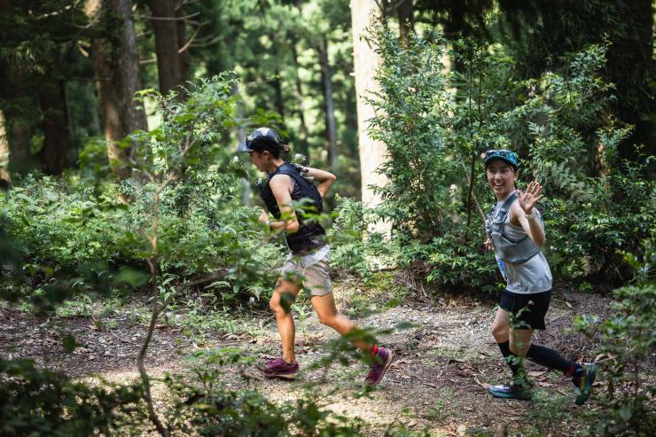 トレイル区間の様子