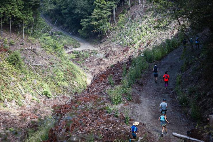 林道区間の様子