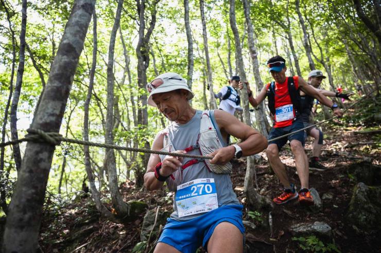 トレイル区間の様子