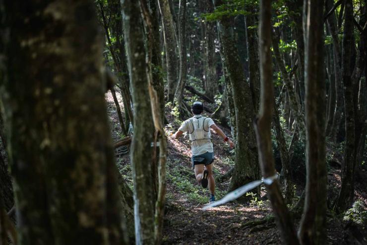 トレイル区間の様子