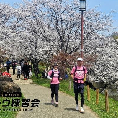 古代ロマン石舞台古墳と絶品ジェラート 絶景のお花見ラン マラニック 44k【サトウ練習会】