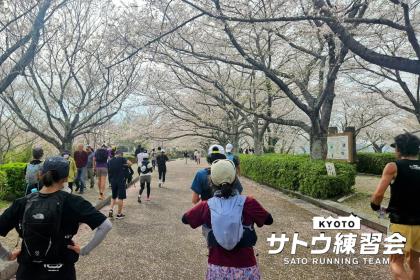 古代ロマン石舞台古墳と絶品ジェラート 絶景のお花見ラン マラニック 44k【サトウ練習会】