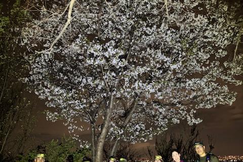 4/1(水)【チームソトアソビ連習会＠花見ナイトトレイル】