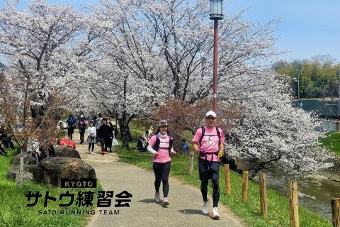 古代ロマン石舞台古墳と絶品ジェラート 絶景のお花見ラン マラニック 44k【サトウ練習会】