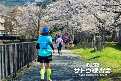 関西随一の桜の名所 篠山城跡お花見ラン 日本100名城 黒豆ソフト マラニック50k【サトウ練習会】